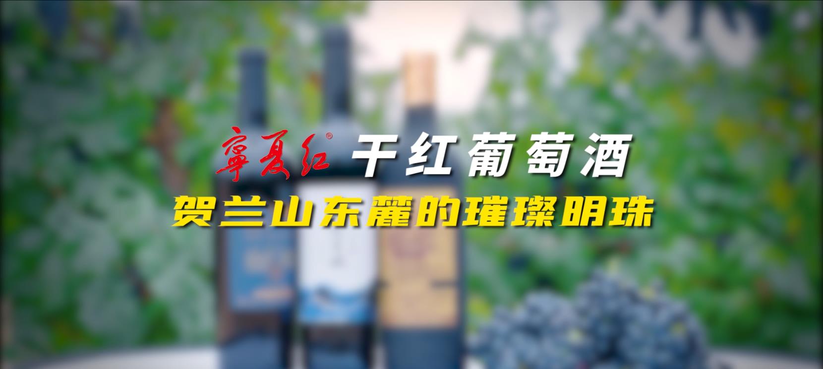 U乐国际干红葡萄酒系列